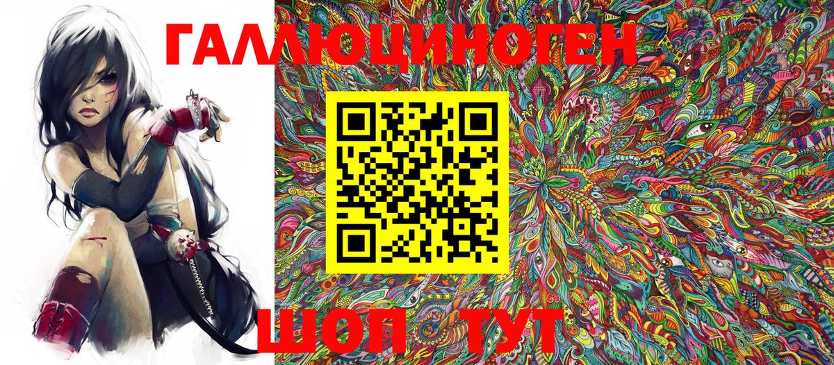 Галлюциногенные грибы Psilocybe Елец