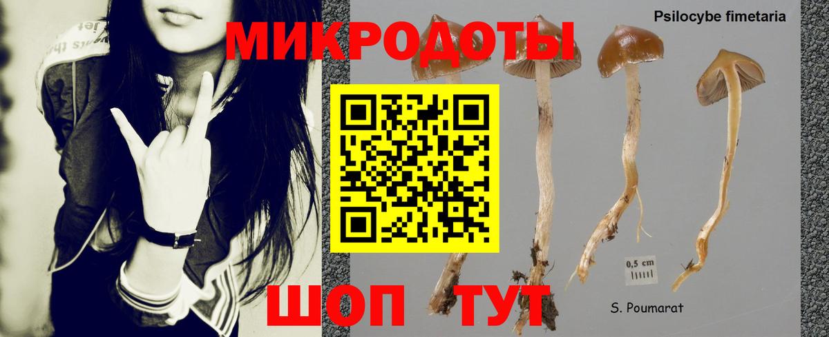 Елец  хочу наркоту  Вход с VPN  Псилоцибиновые грибы мицелий  Галлюциногенные грибы GOLDEN TEACHER 